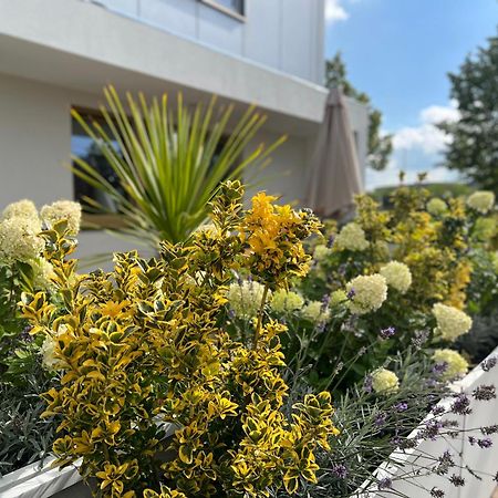 Neu 2023 Gemuetliches Apartment Im Eichsfeld Leinefelde-Worbis Buitenkant foto